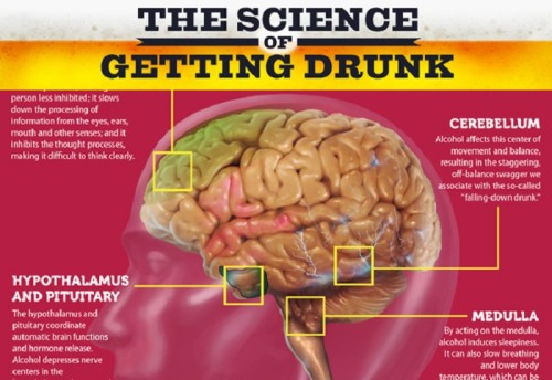 Brain Drunk