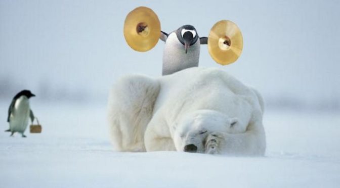 Polar Bear Penguin